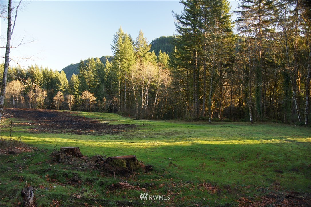 11105 Lewis River Road Ariel, WA 98603 - Photo 5 of 27 Gallery Image 5
