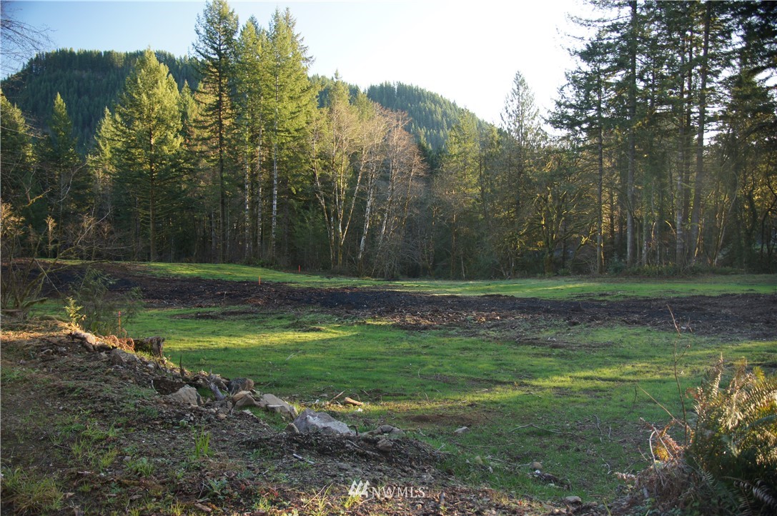 11105 Lewis River Road Ariel, WA 98603 - Photo 6 of 27 Gallery Image 6