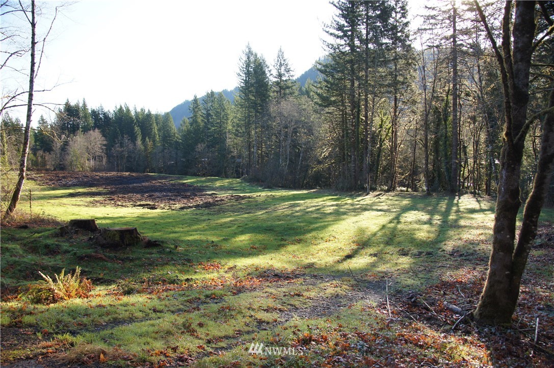 11105 Lewis River Road Ariel, WA 98603 - Photo 7 of 27 Gallery Image 7