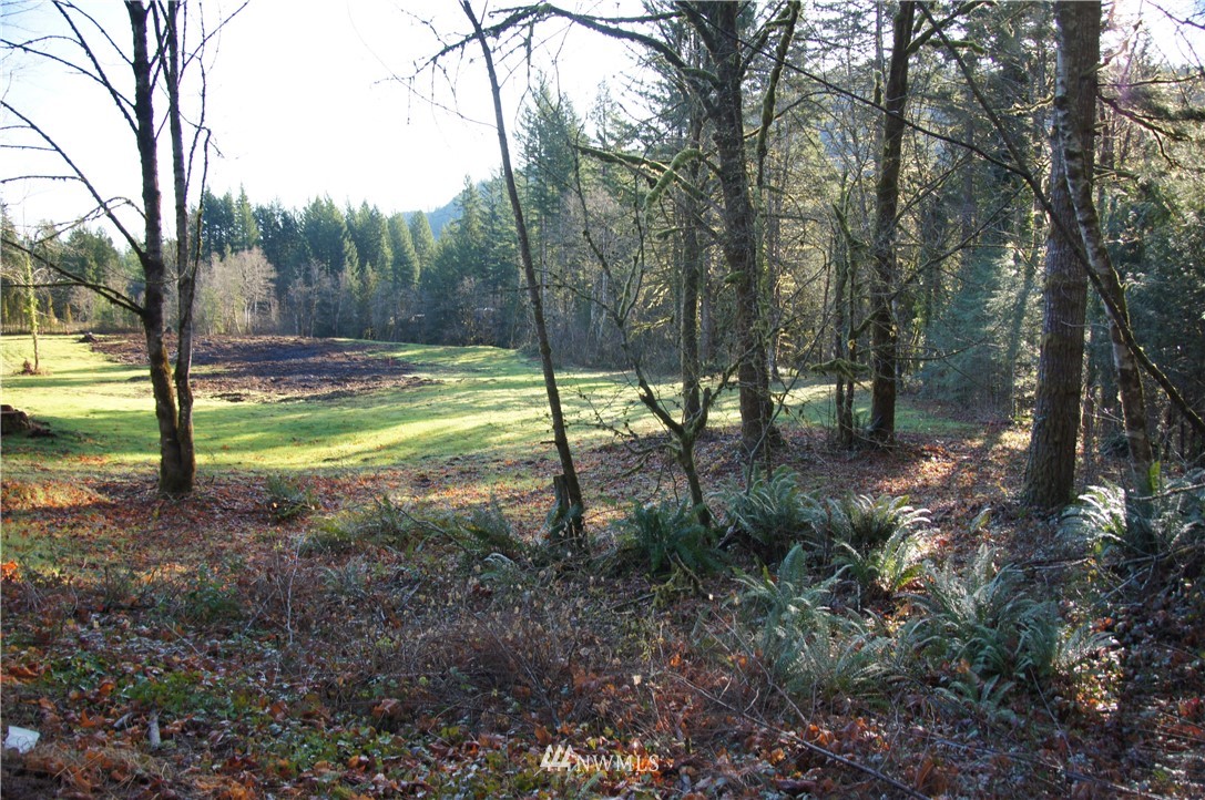 11105 Lewis River Road Ariel, WA 98603 - Photo 8 of 27 Gallery Image 8