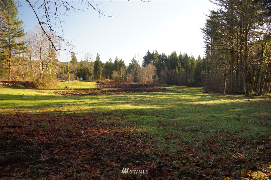 11105 Lewis River Road Ariel, WA 98603 - Photo 10 of 27 Gallery Image 10