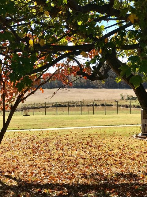 140 Parks Road Portland, TN 37148 - Photo 16 of 19 a view of an ocean