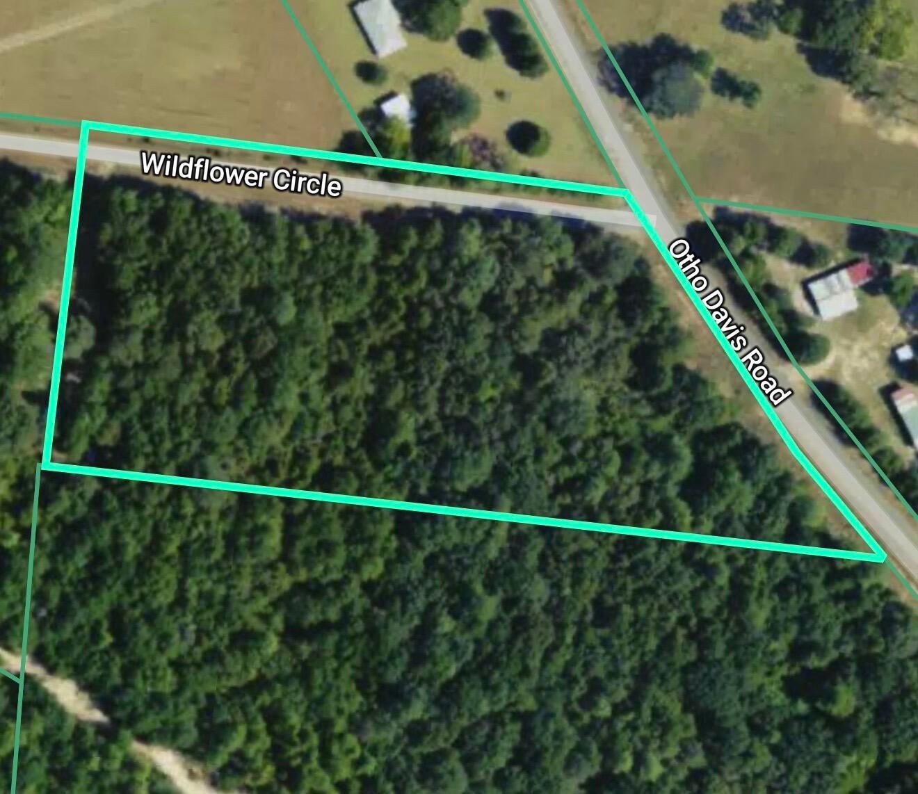 0 Otho Davis Road Lumberton, MS 39455 - Photo 5 of 5 IMG_8212