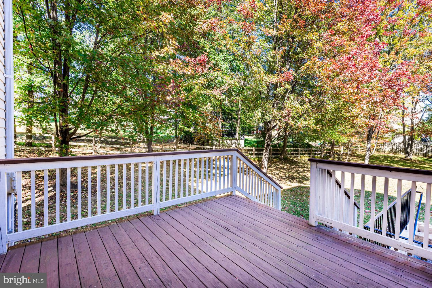5642 Waterloo Road Columbia, MD 21045 - Photo 33 of 67 Serene deck with vibrant autumn foliage.
