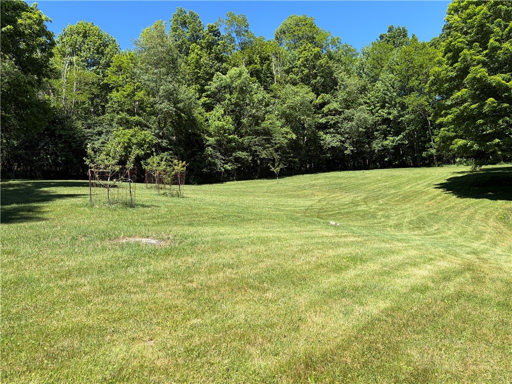 182 Braswell Road Newland, NC 28657 - Photo 7 of 42