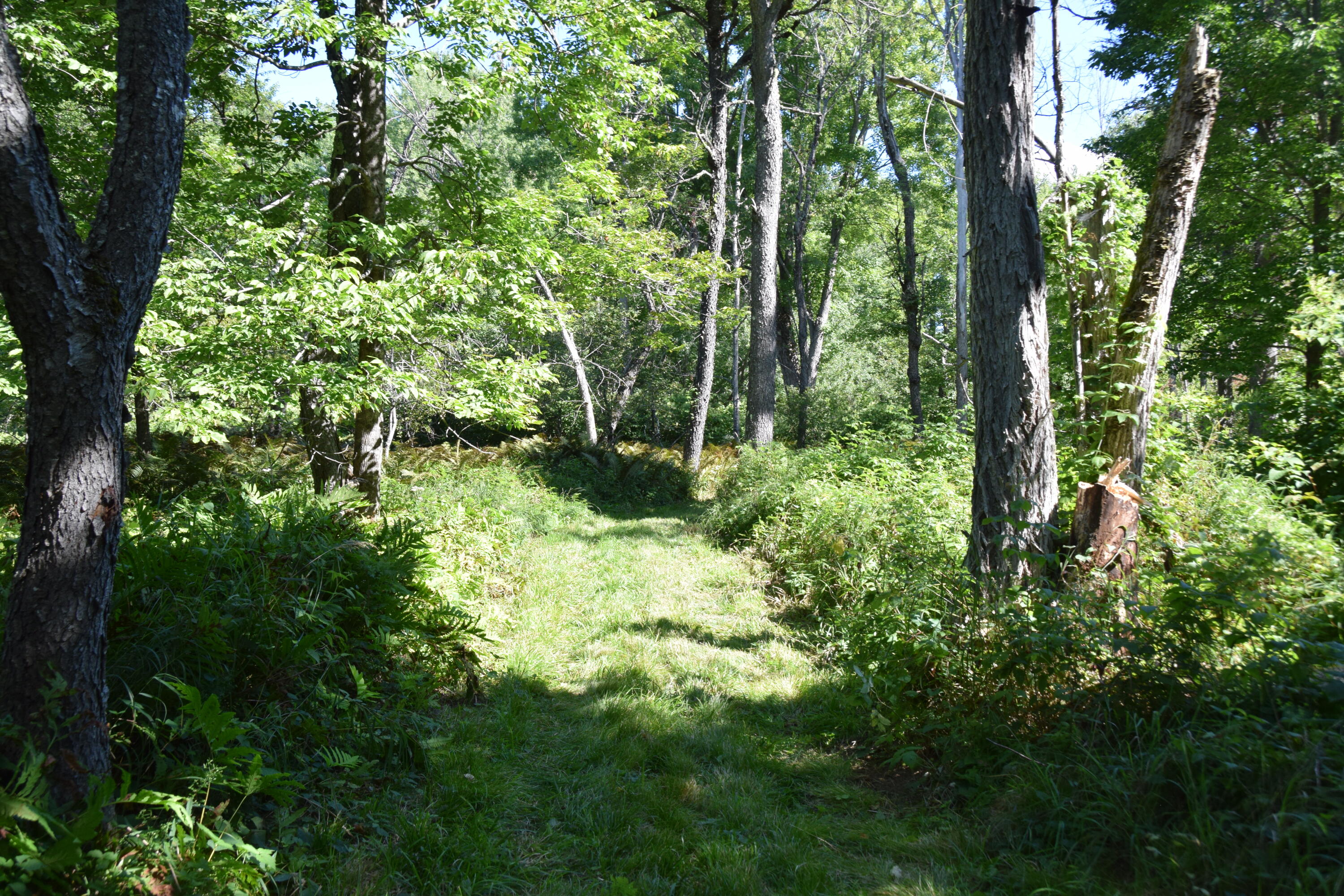 71 Birch Road New Portland, ME 04961 - Photo 64 of 100 DSC_0044
