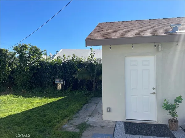 a view of a backyard with plants and large trees