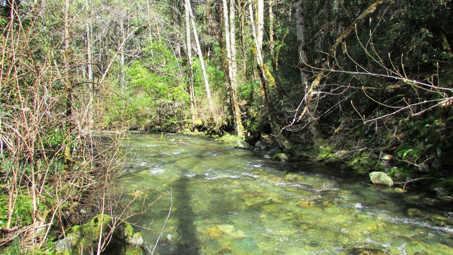 2005 Murphy Creek Road Grants Pass, OR 97527 - Photo 11 of 18 Additional Photo