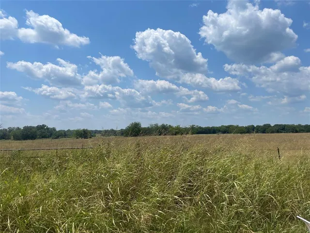 a view of a lake from a yard