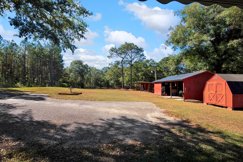 975 Webb To Kinsey Road Webb, AL 36376 - Photo 23 of 56