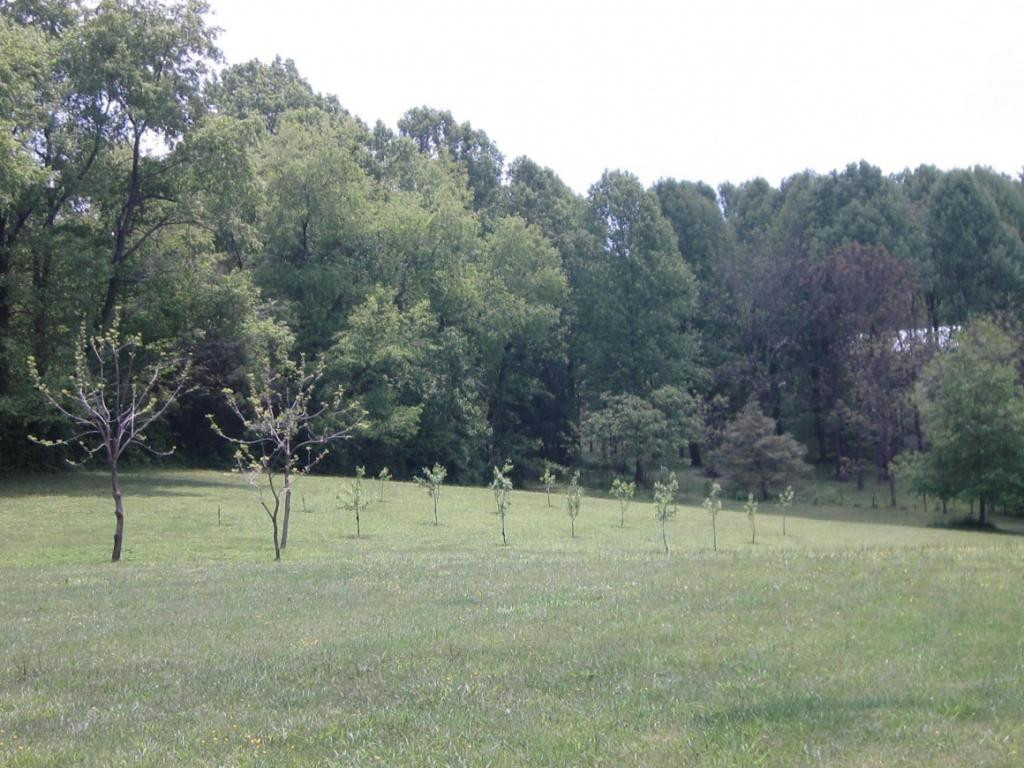 31094 Rhea Valley Road Meadowview, VA 24361 - Photo 10 of 11 Photo 10