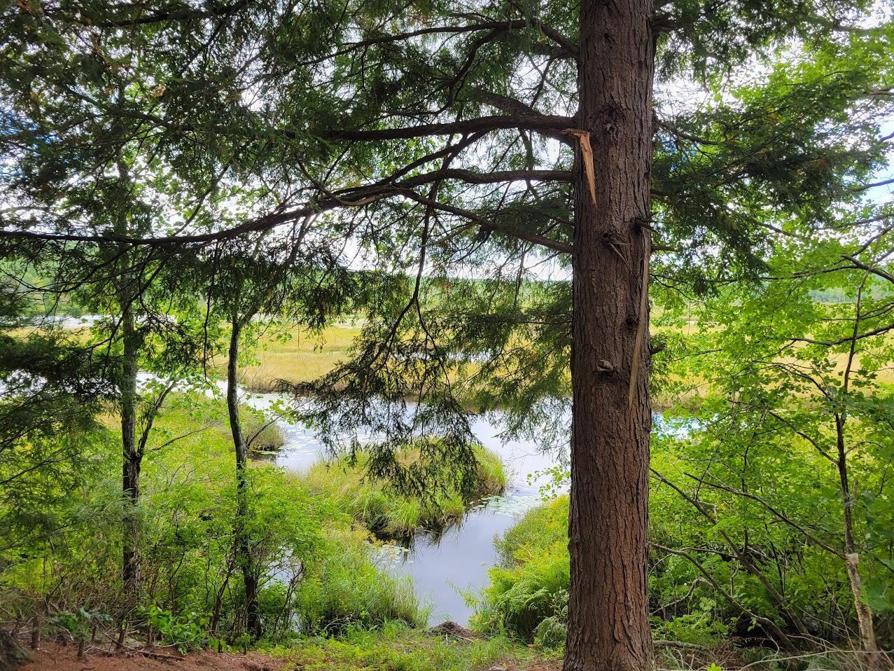 261 Flat Ground Road Acton, ME 04001 - Photo 7 of 25 access to river