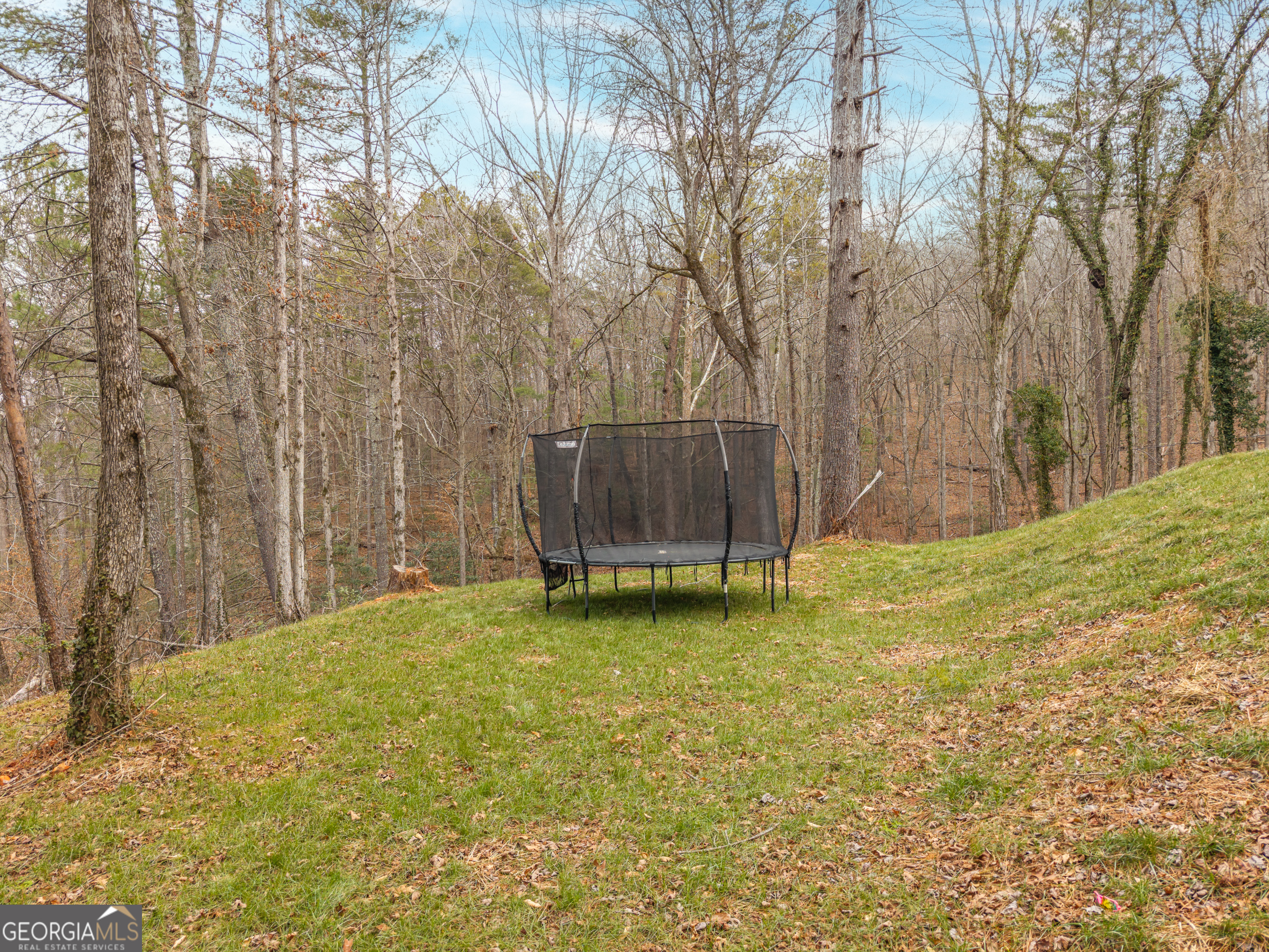 2641 Highway 52 Ellijay, GA 30536 - Photo 32 of 43