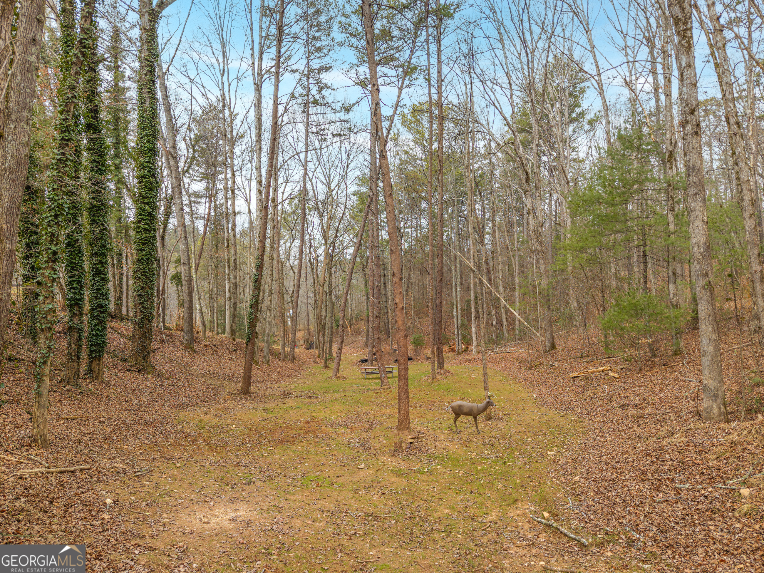 2641 Highway 52 Ellijay, GA 30536 - Photo 35 of 43