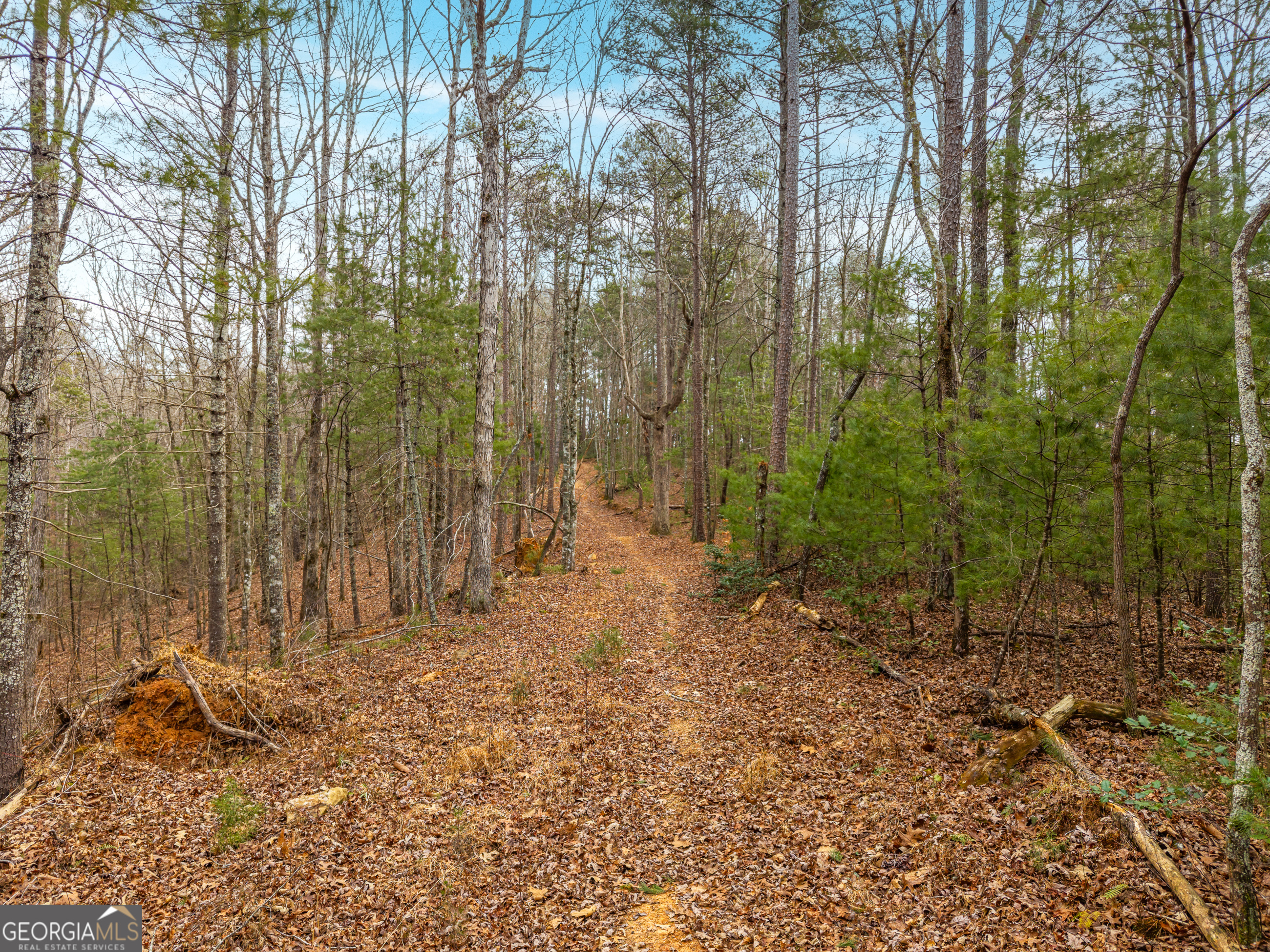 2641 Highway 52 Ellijay, GA 30536 - Photo 36 of 43