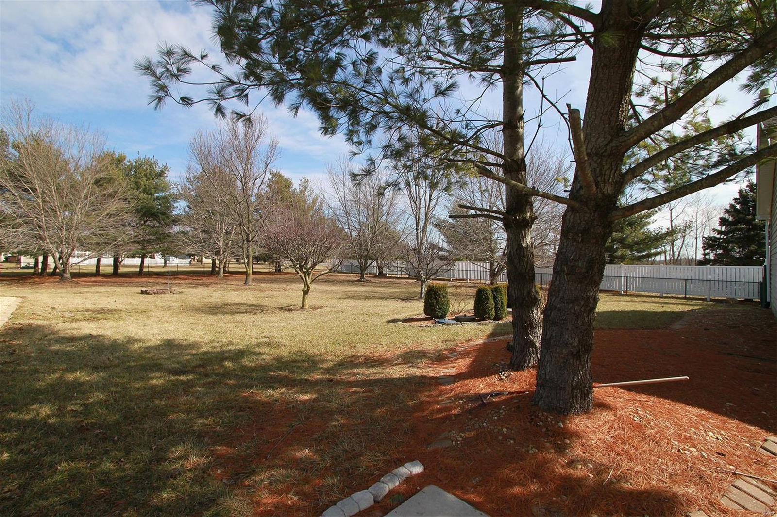 34114 Craig Lake Road Brighton, IL 62012 - Photo 5 of 26