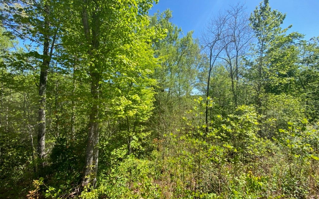 15 Staurolite Mountain Blue Ridge, GA 30513 - Photo 1 of 1 Main View