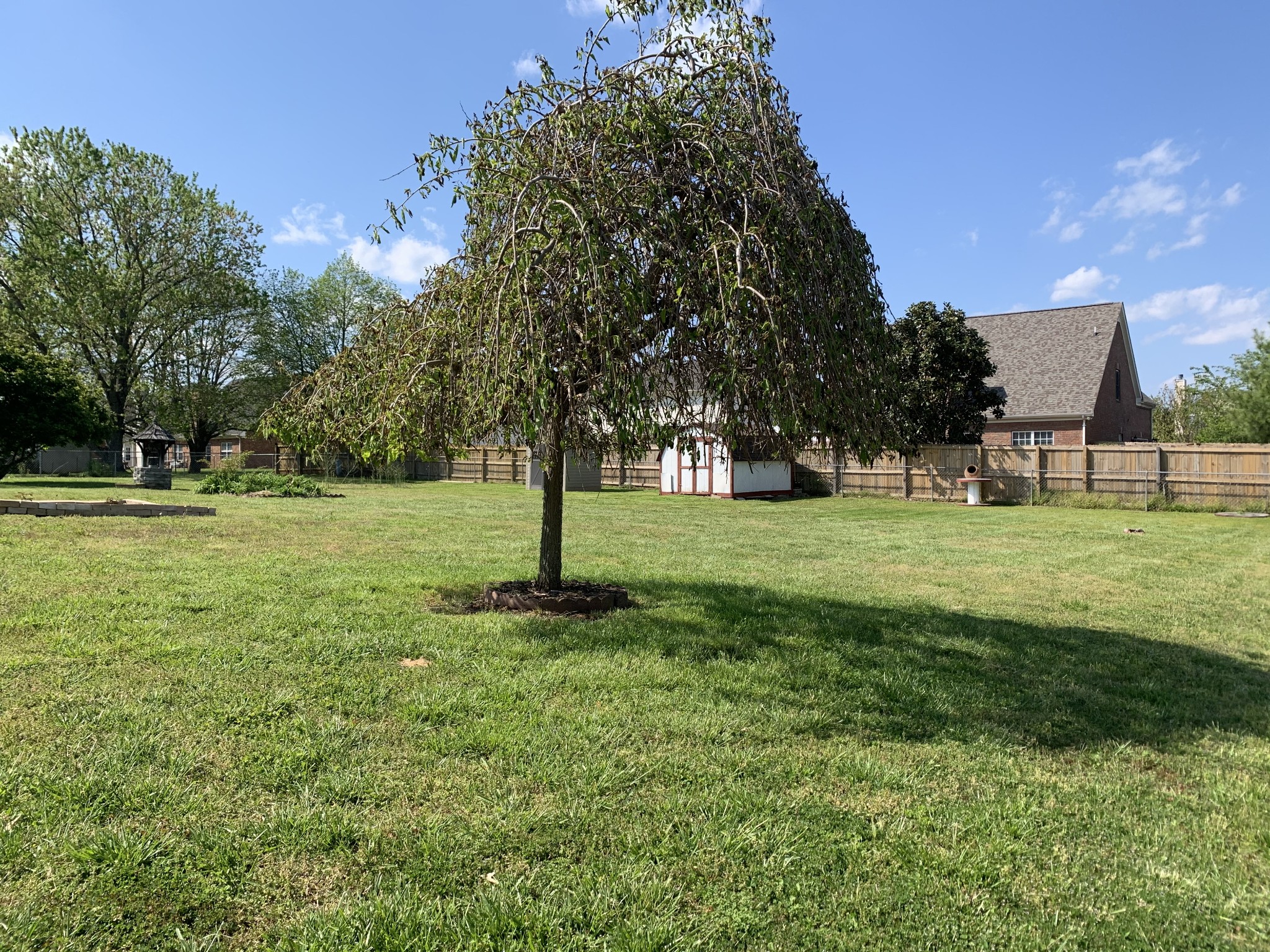 4008 Confederate Road Murfreesboro, TN 37128 - Photo 20 of 49 Gallery Image 20