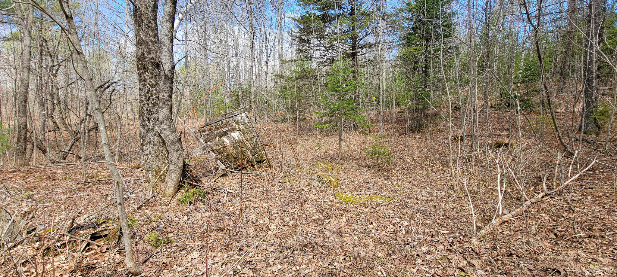 0 Borough Road Dover-Foxcroft, ME 04426 - Photo 9 of 26 20230420_112535