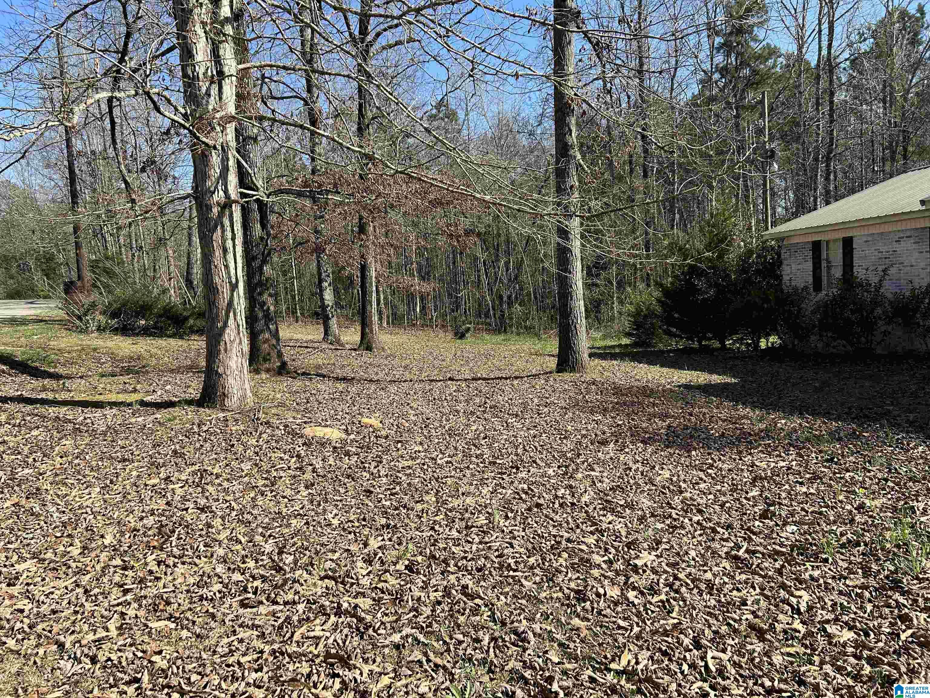 60 Redbud Road Sylacauga, AL 35150 - Photo 5 of 30 Gallery Image 5
