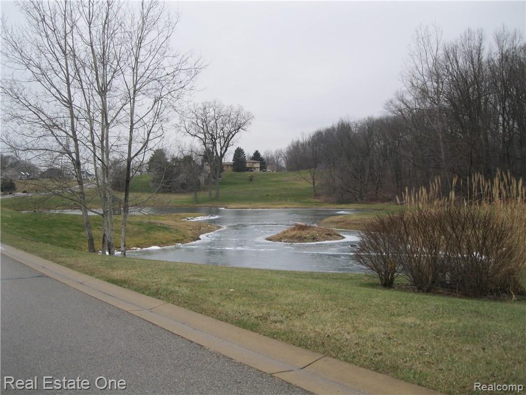 2447 Sundance Ridge, Unit 24 Howell, MI 48843 - Photo 6 of 9
