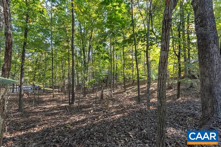 5 Cliftwood Road Palmyra, VA 22963 - Photo 23 of 49 a view of outdoor space and trees