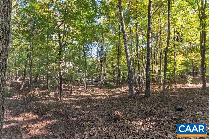5 Cliftwood Road Palmyra, VA 22963 - Photo 25 of 49
