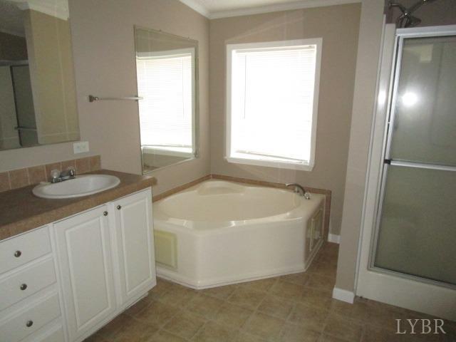 263 George Hairston Road Fieldale, VA 24089 - Photo 13 of 22 a spacious bathroom with 2 sink tub and a mirror