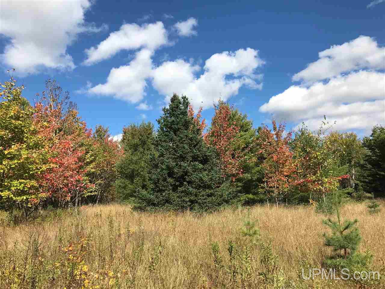 Tbd Dover Road Calumet, MI 49934 - Photo 3 of 6