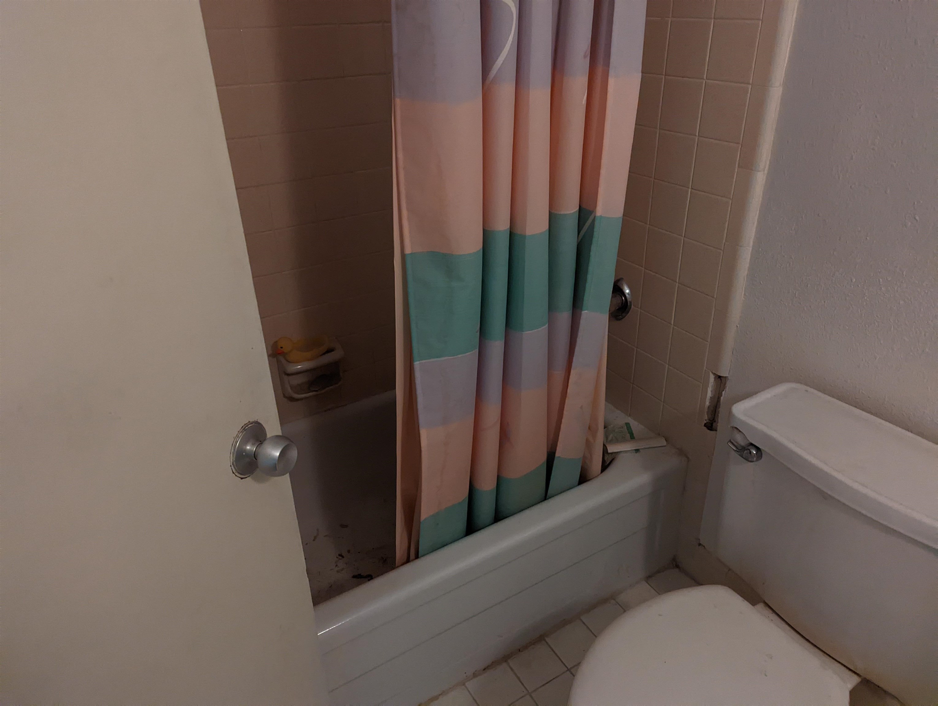 2401 Jim Lee Road Tallahassee, FL 32301 - Photo 8 of 25