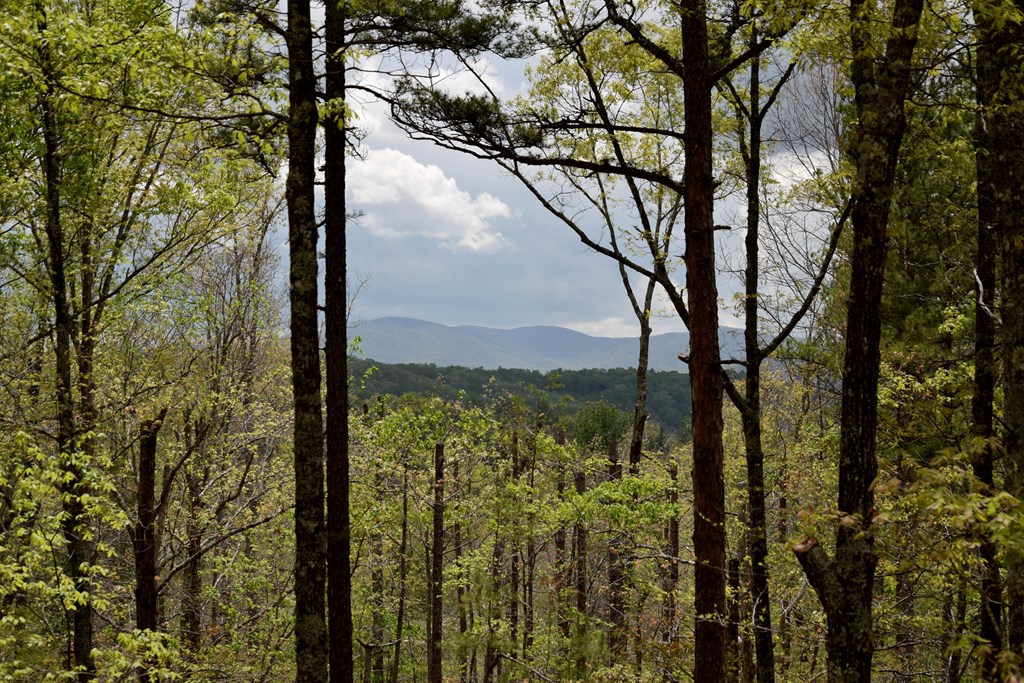346 Ridge Brook Drive Morganton, GA 30560 - Photo 3 of 42 Gallery Image 3