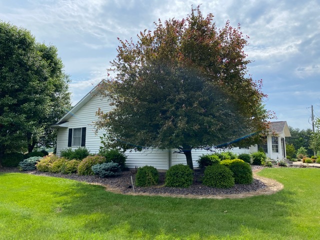 11426 East Radisson Road Mount Vernon, IL 62864 - Photo 35 of 56 a view of a house with a big yard potted plants and large tree