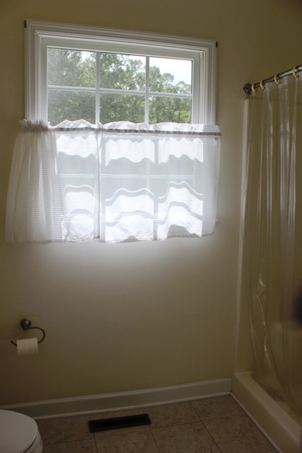 1695 Fairy Stone Park Road Ferrum, VA 24088 - Photo 16 of 33 Master Bth/Stand-Up Shower