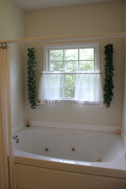 1695 Fairy Stone Park Road Ferrum, VA 24088 - Photo 17 of 33 Master Bth/Jacuzzi Tub