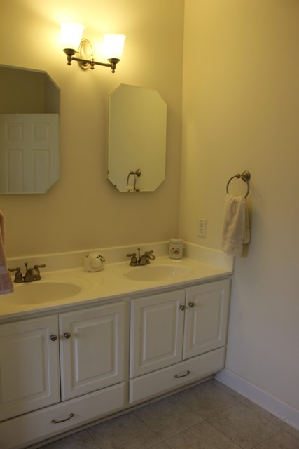 1695 Fairy Stone Park Road Ferrum, VA 24088 - Photo 18 of 33 Master Bth/Double Sinks
