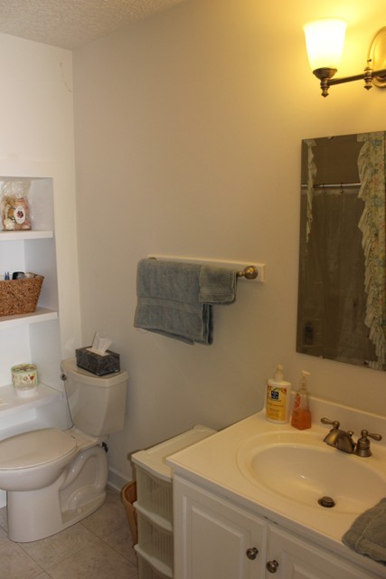 1695 Fairy Stone Park Road Ferrum, VA 24088 - Photo 23 of 33 Full Bath (Upper)
