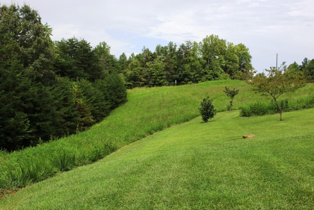 1695 Fairy Stone Park Road Ferrum, VA 24088 - Photo 26 of 33 Acreage for Pasture