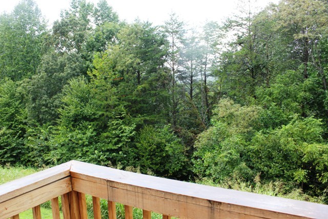 1695 Fairy Stone Park Road Ferrum, VA 24088 - Photo 27 of 33 View from Rear Deck