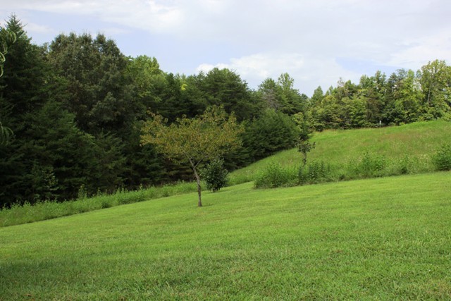 1695 Fairy Stone Park Road Ferrum, VA 24088 - Photo 28 of 33 Side Yard