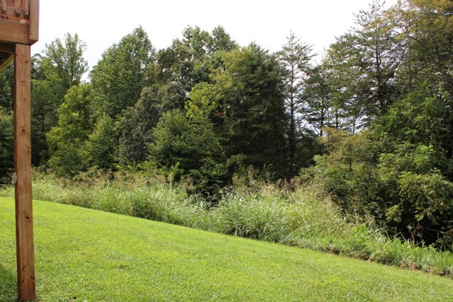 1695 Fairy Stone Park Road Ferrum, VA 24088 - Photo 33 of 33 Private Setting