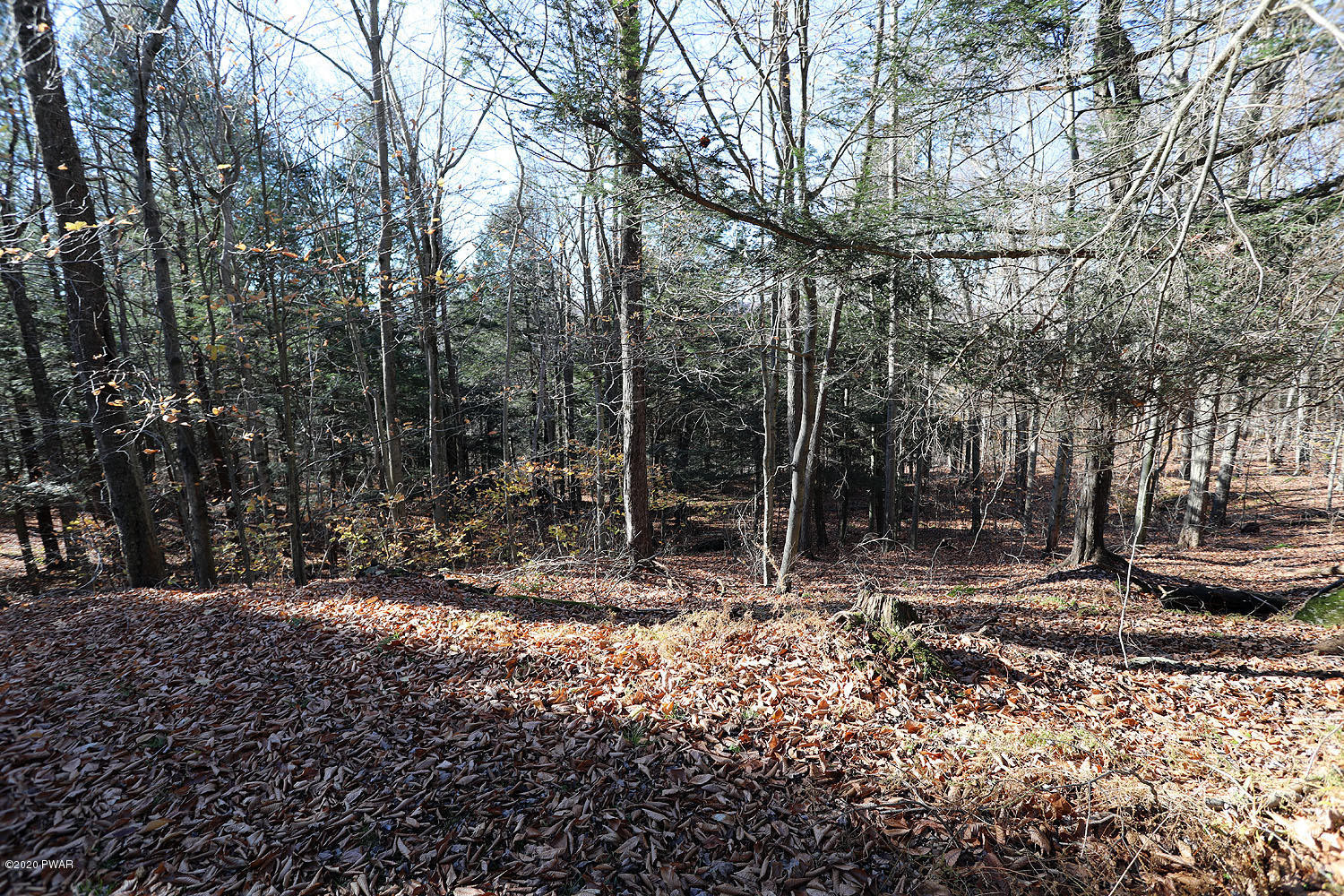 276 Rotten Road Equinunk, PA 18417 - Photo 28 of 45