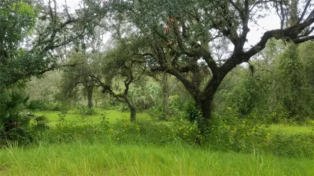 $224,900 | 7062 Crooked Creek Lane, Zolfo Springs, FL 33890