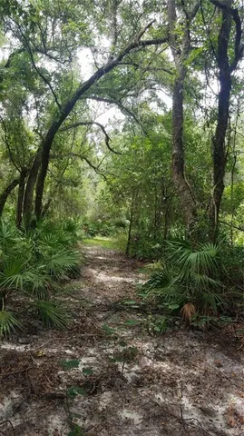 $224,900 | 7062 Crooked Creek Lane, Zolfo Springs, FL 33890