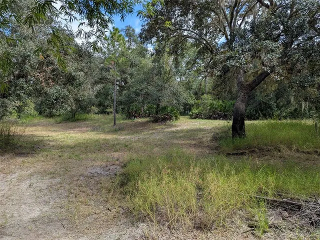 $224,900 | 7062 Crooked Creek Lane, Zolfo Springs, FL 33890