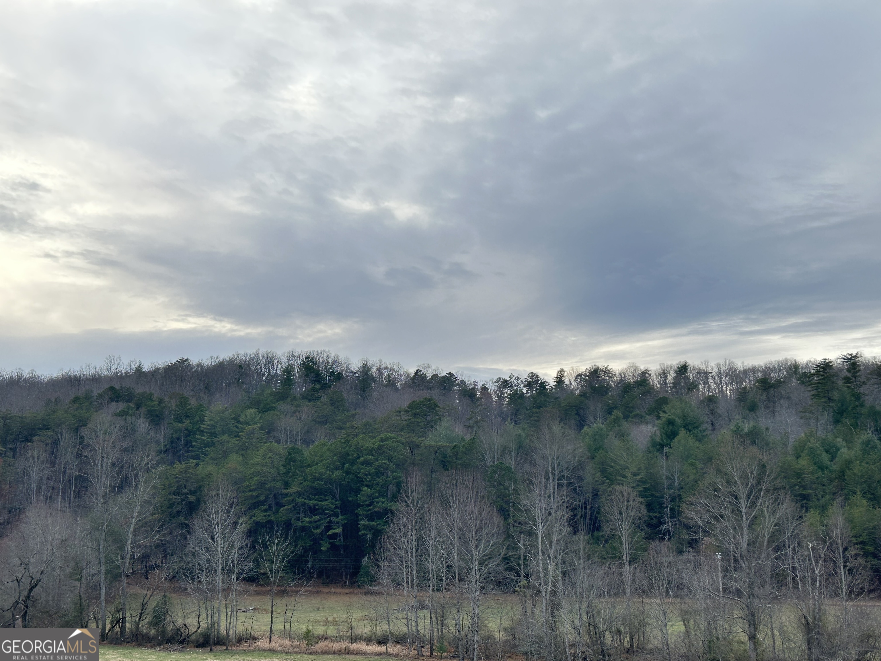 168 Warren Tr Park Road Blairsville, GA 30512 - Photo 2 of 3 a view of a town with mountains in the background