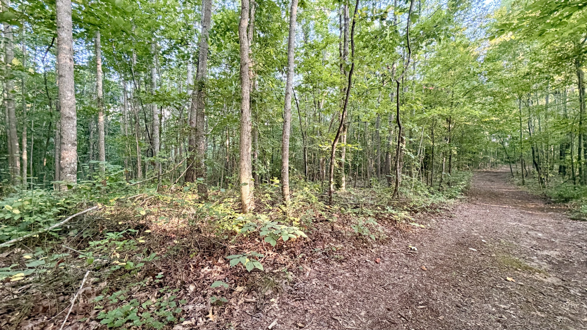 309 Charley Davis Road Goodspring, TN 38460 - Photo 7 of 9