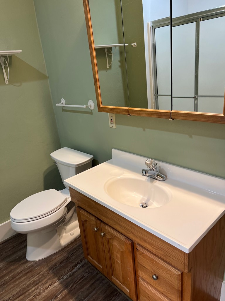 1106 Broadway, Unit 1106C Columbus, GA 31901 - Photo 21 of 22 Vanity