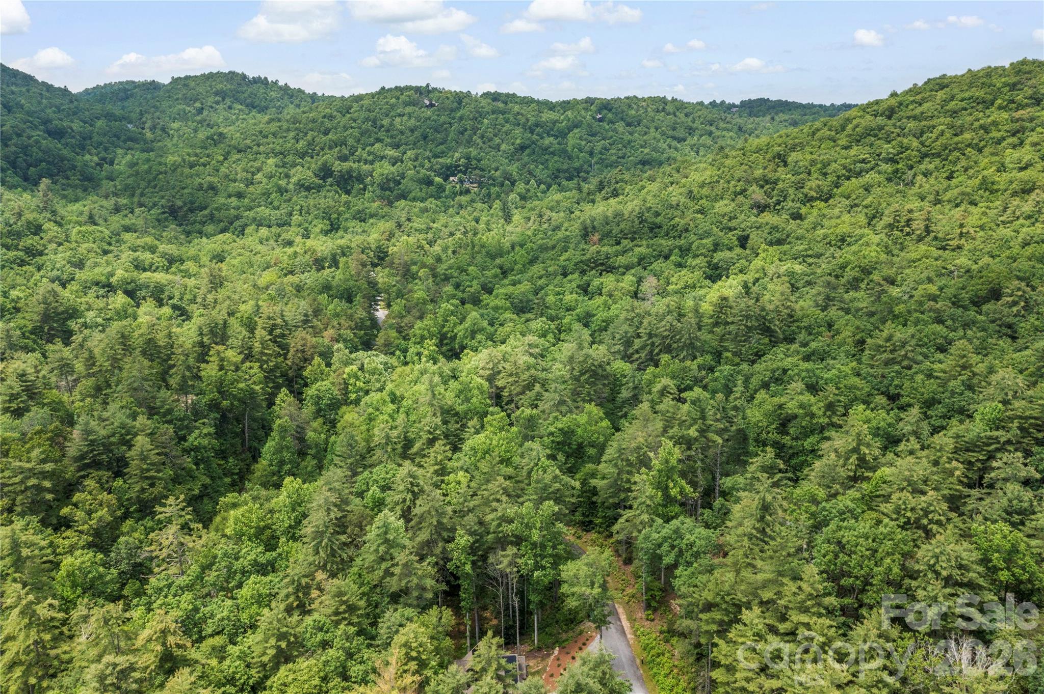 68 Huckleberry Ridge Lane Zirconia, NC 28790 - Photo 42 of 45