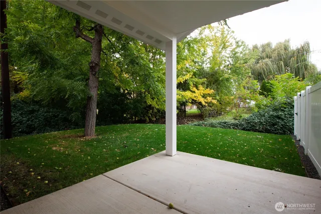 a view of a garden with plants