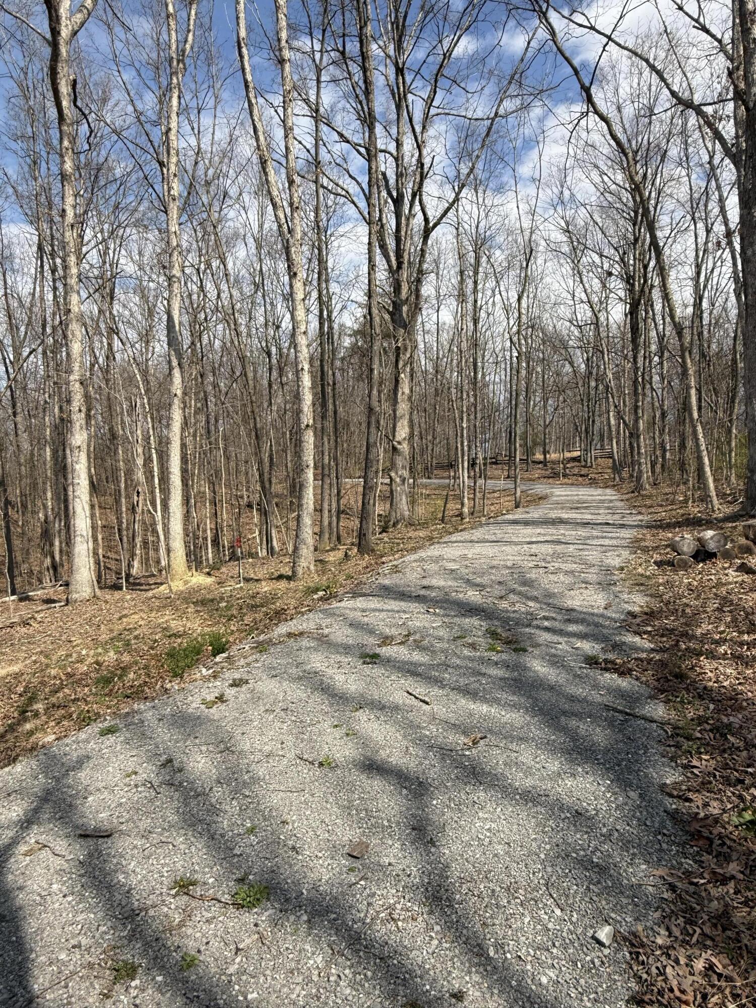 120 Nevius Road Danville, KY 40422 - Photo 5 of 6 Looking back at road